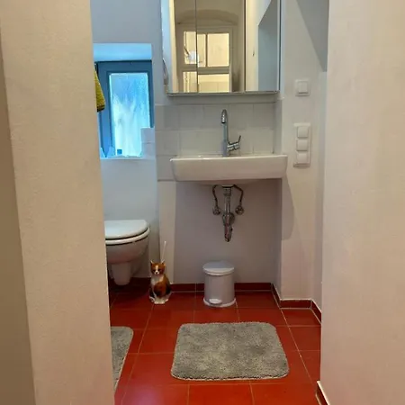 Apartment Urban Apartement, Internet, Veranda, Zentrum Graz